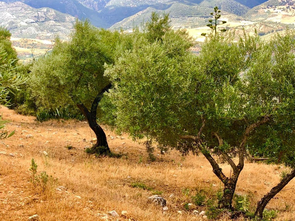 El Oasis Villa Algodonales Eksteriør billede