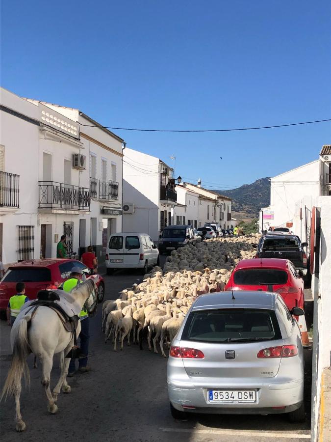 El Oasis Villa Algodonales Eksteriør billede