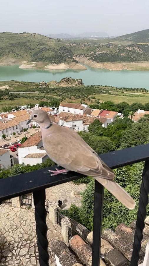 El Oasis Villa Algodonales Eksteriør billede